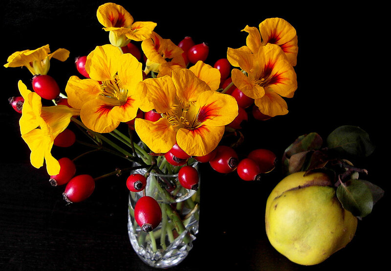 Yellow Flowers and Fruit — Dramatic