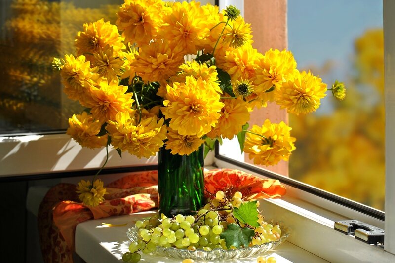 Yellow Flowers and Grapes