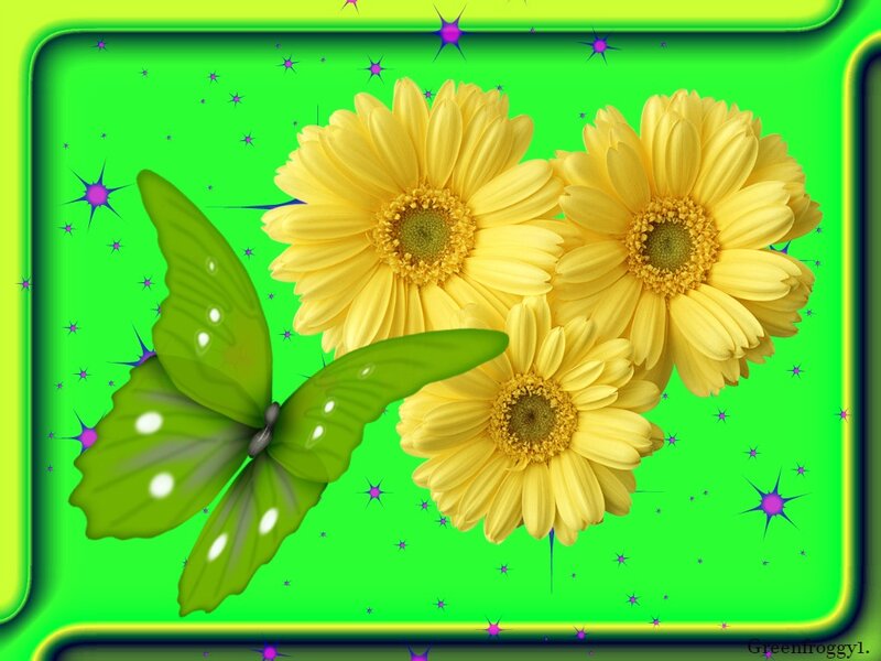 Yellow Flowers and Green Butterfly