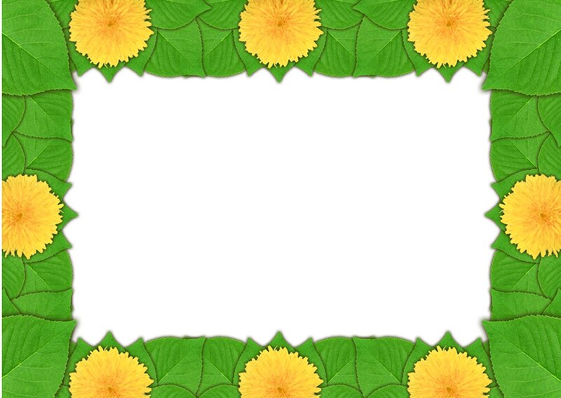 Yellow Flowers and Green Leaves — Calm
