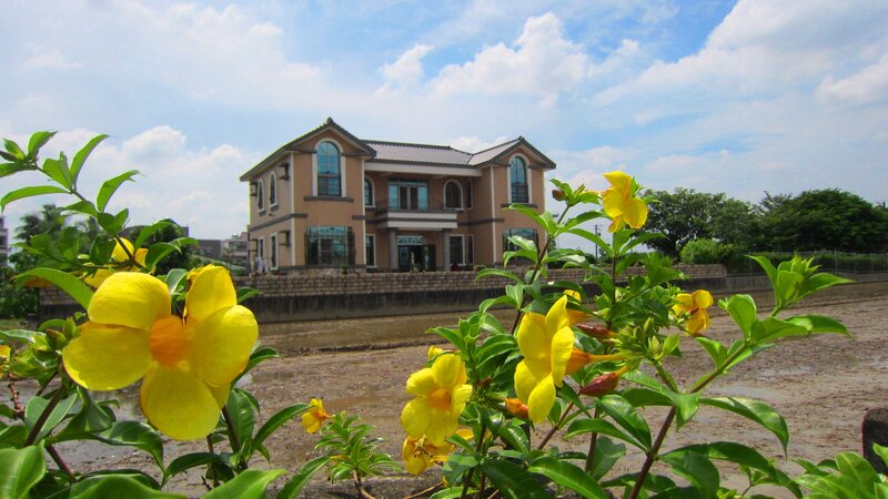 Yellow Flowers and House