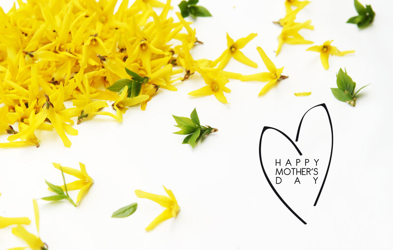 Yellow Flowers and Leaves — Calm, Spring