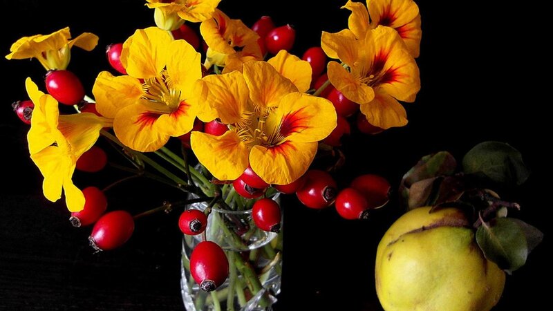 Yellow Flowers and Red Berries
