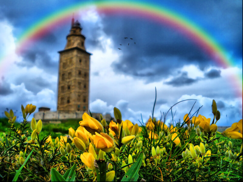 Yellow Flowers and Tower