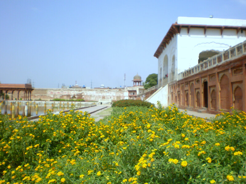yellow flowers at a historic site
