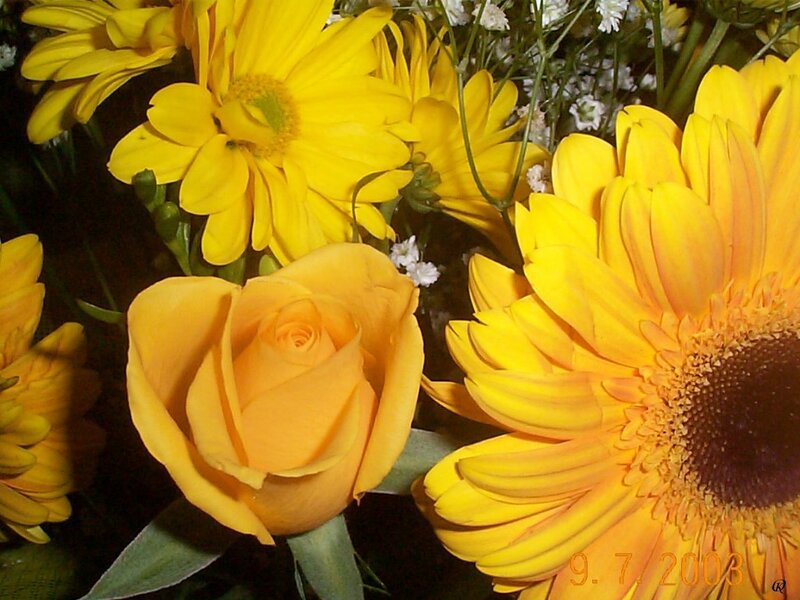 Yellow flowers bouquet
