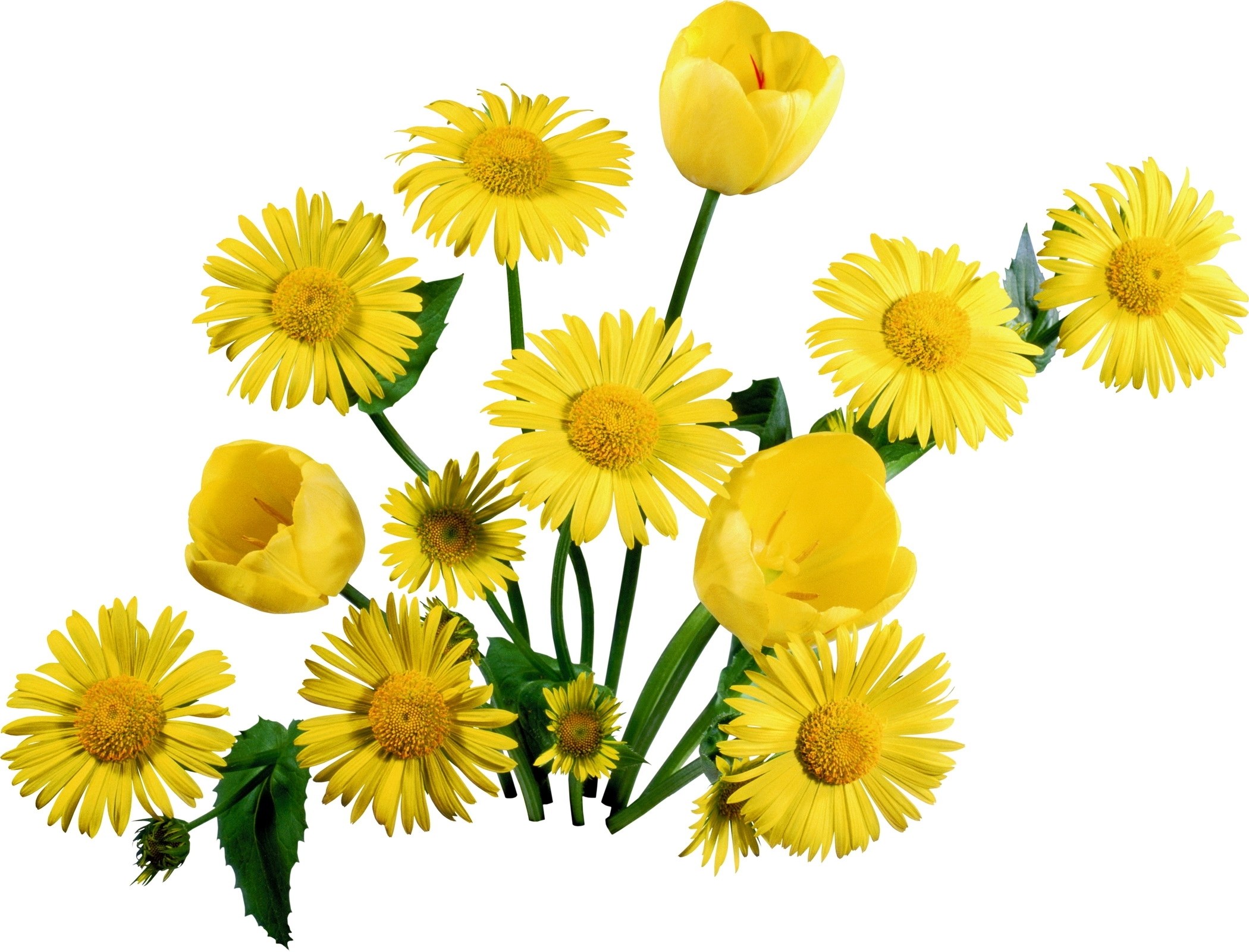 yellow flowers bouquet