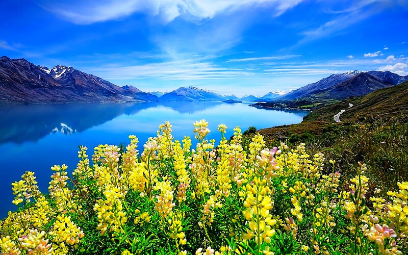 Yellow Flowers by Lake — Blue, Serene, Afternoon, Photograph, Mountains, Sky