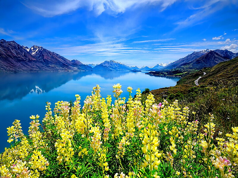 Yellow Flowers by Lake — Blue, Serene, Afternoon