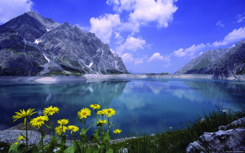 Yellow Flowers by Lake — Blue, Serene, Summer, Photograph, Mountains, Clouds