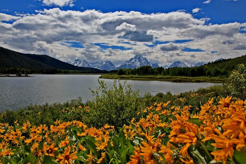 Yellow Flowers by Lake — Blue, Serene, Summer, Photograph, Mountains, Trees, Clouds