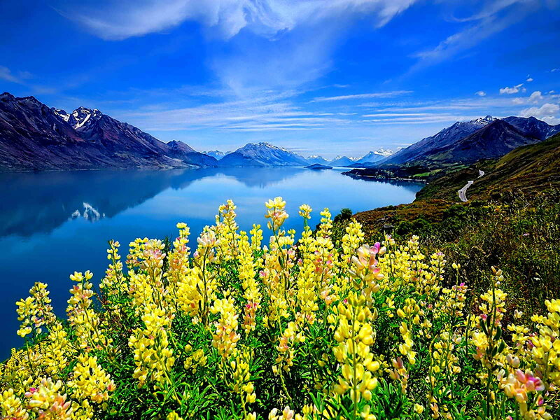 Yellow Flowers by Lake — Blue, Serene, Summer