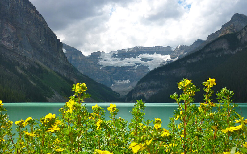 Yellow Flowers by Lake — Green