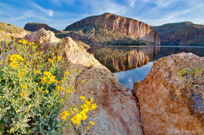 Yellow Flowers by Lake — Serene, Afternoon, Photograph, Rocks