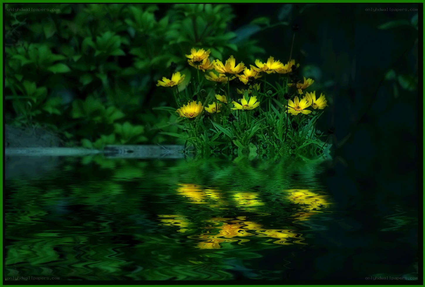 Yellow flowers by the water