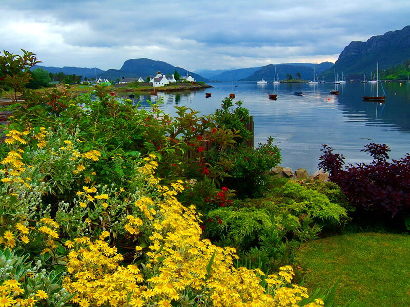 Yellow Flowers by the Water — Serene