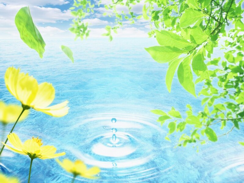 Yellow Flowers by Water — Blue