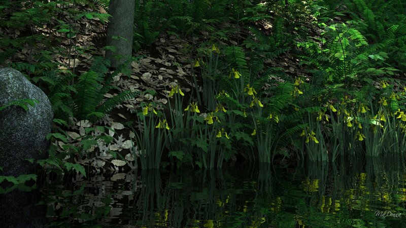 Yellow Flowers by Water — Green