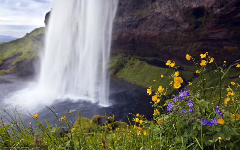Yellow Flowers by Waterfall — Green, Serene