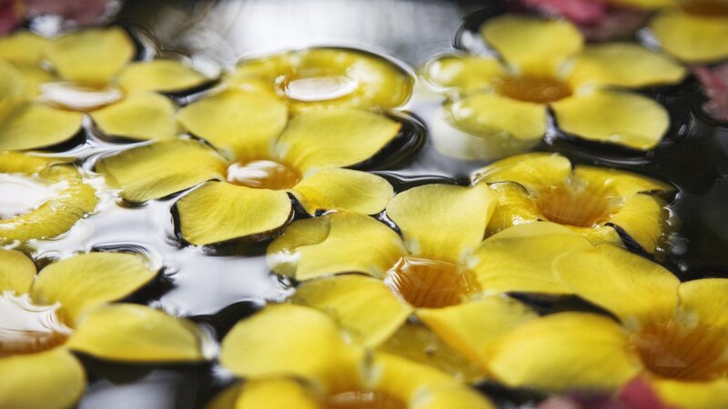 Yellow Flowers Floating