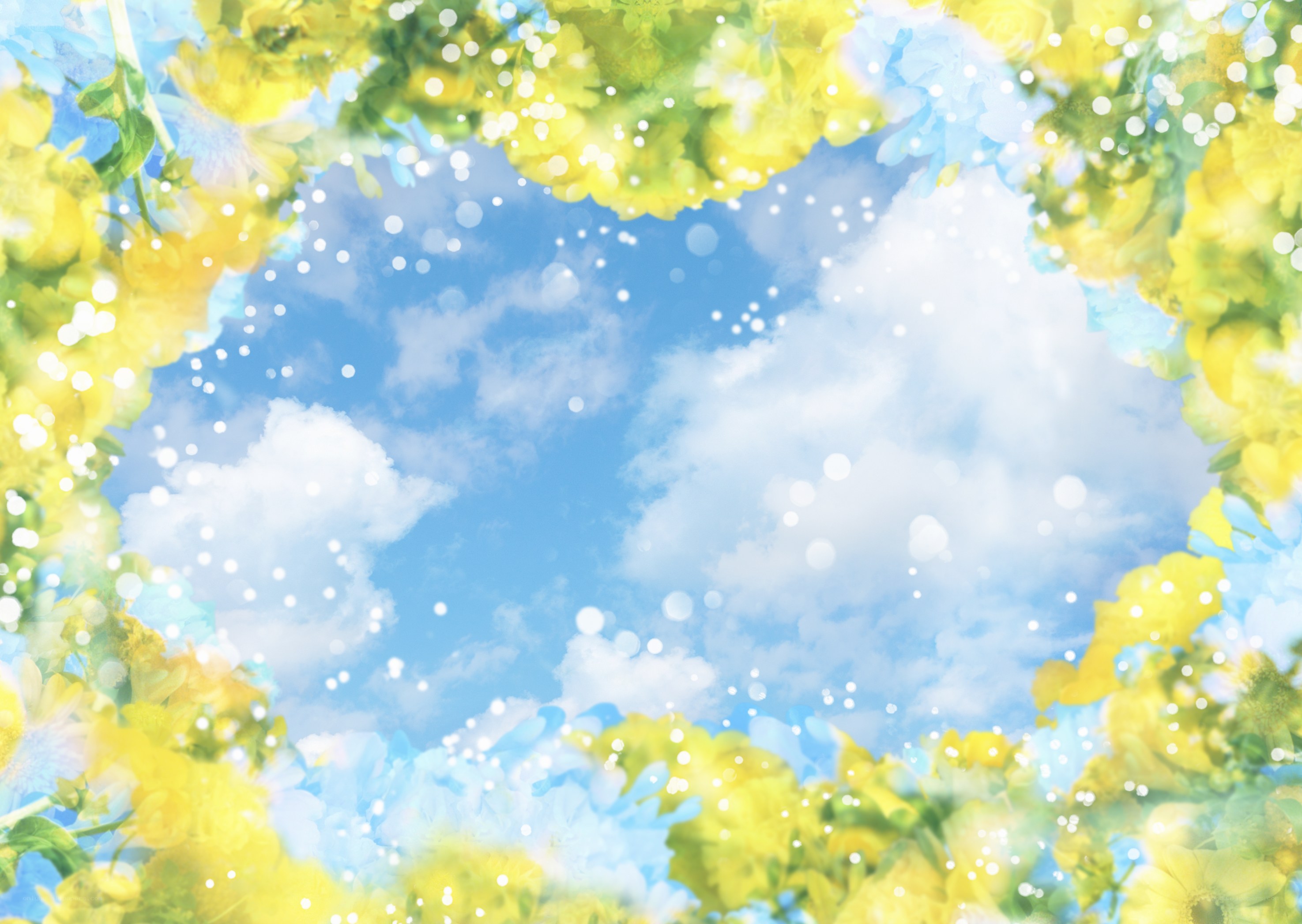 yellow flowers framing blue sky