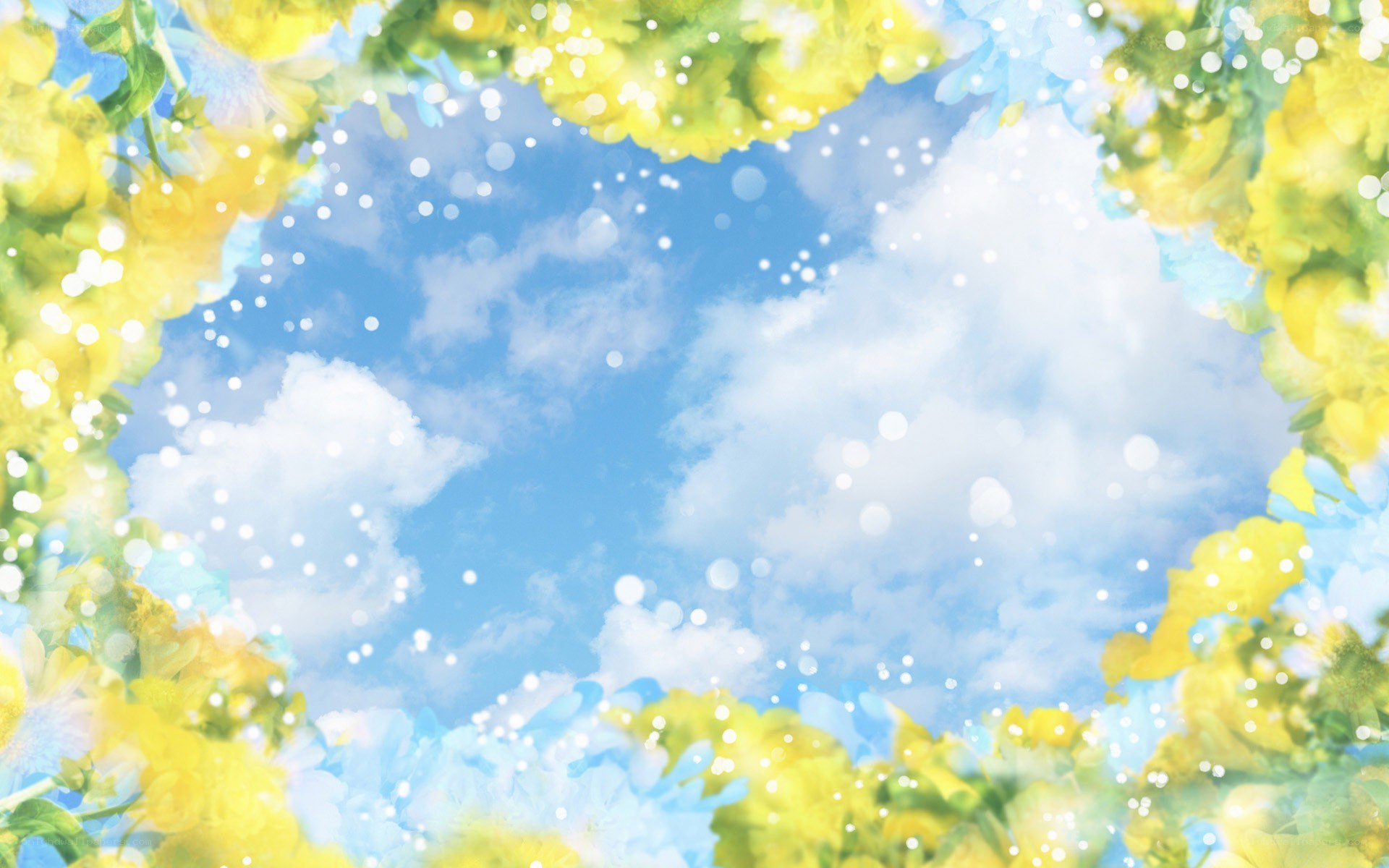 yellow flowers framing blue sky