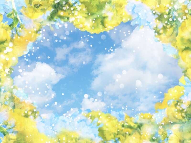 Yellow Flowers Framing Sky