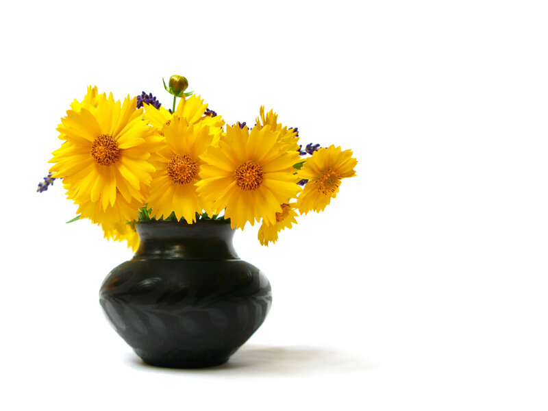 yellow flowers in a black vase