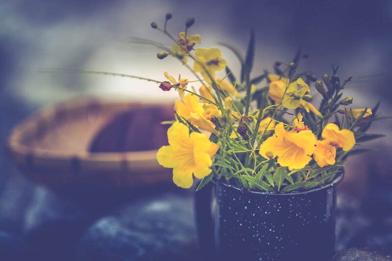 Yellow Flowers in a Cup