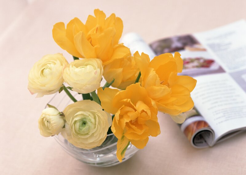 Yellow flowers in a glass vase