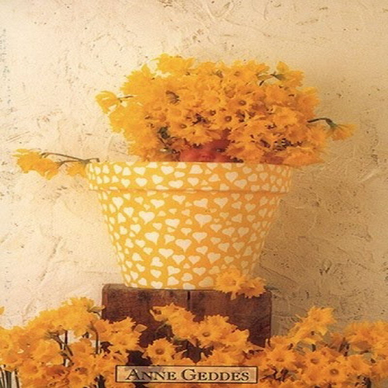 Yellow flowers in a heart-patterned pot