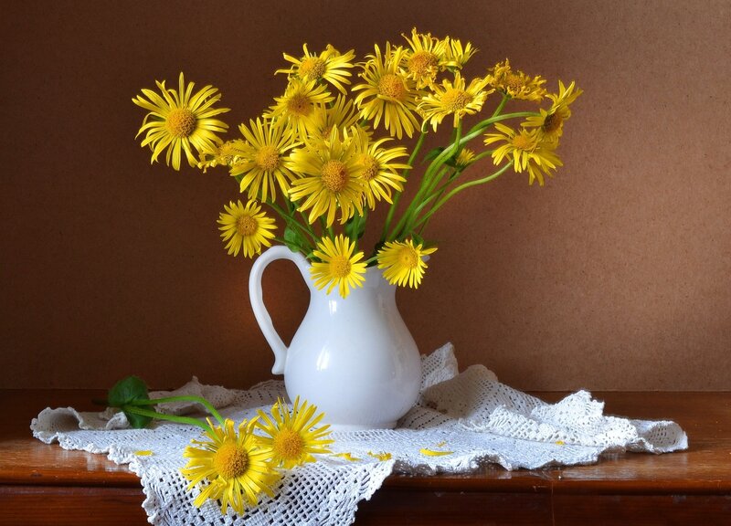 Yellow Flowers in a Jug — Calm