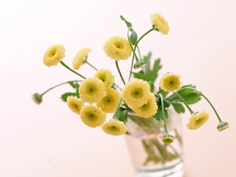 Yellow flowers in a vase