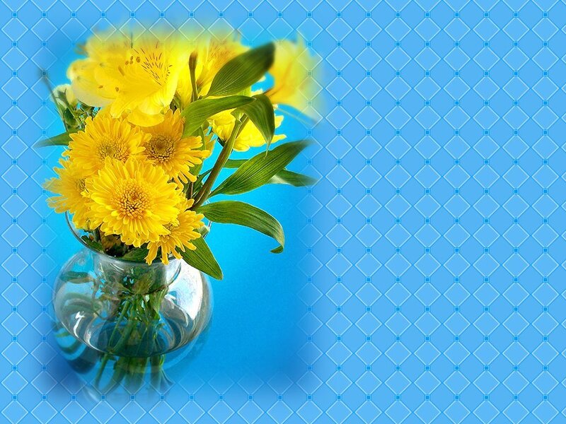 Yellow Flowers in a Vase — Calm