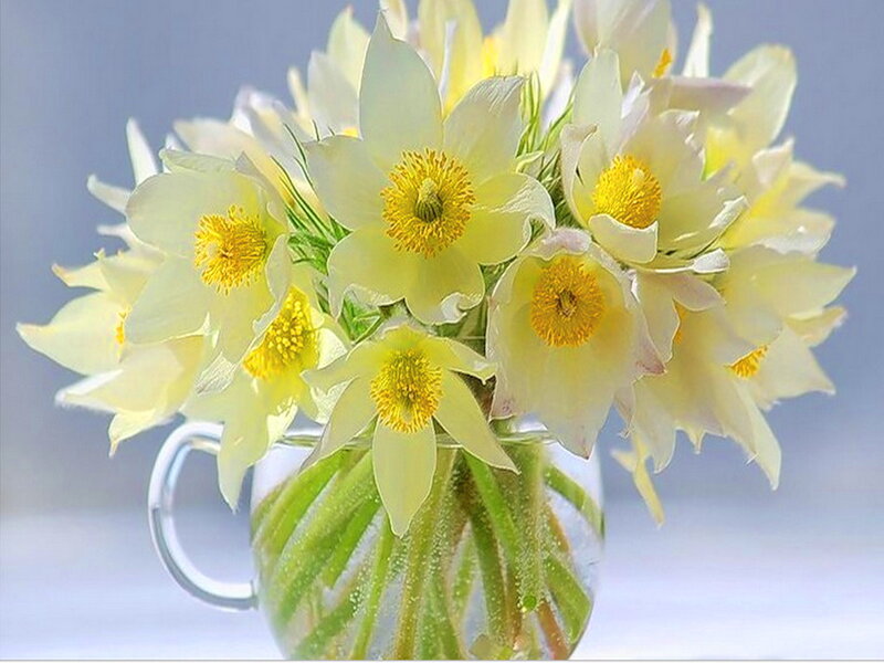 Yellow Flowers in a Vase — White