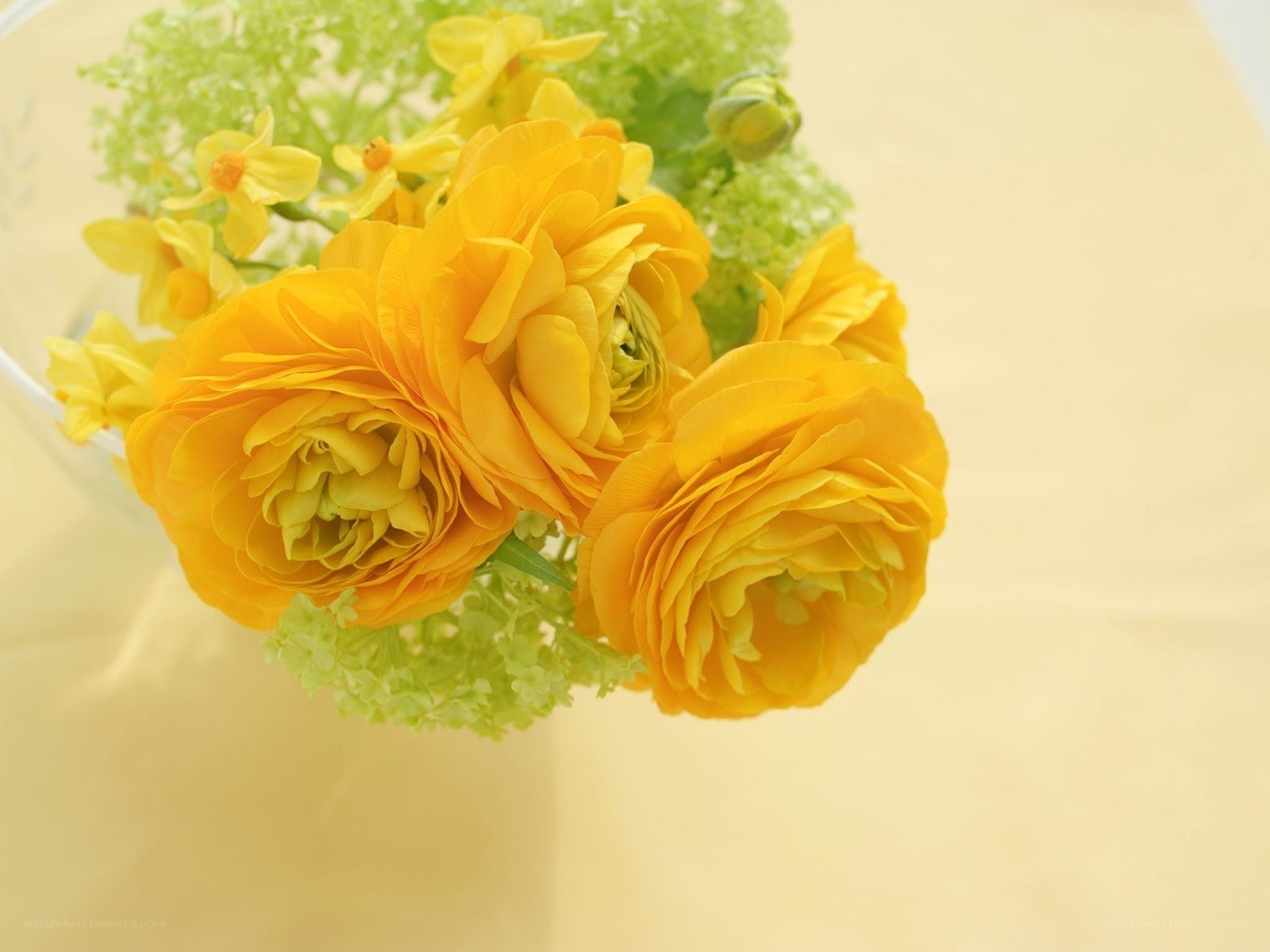 Yellow flowers in a vase