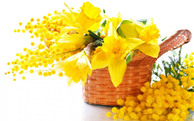 Yellow Flowers in Basket — Bright, Spring, Photograph