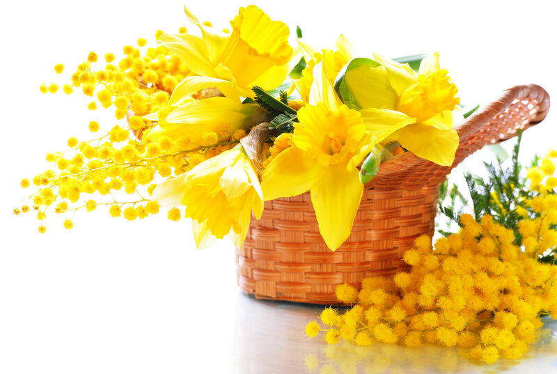Yellow Flowers in Basket — Bright, Spring