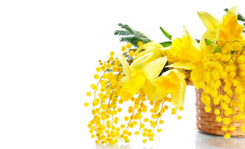 Yellow Flowers in Basket — Bright