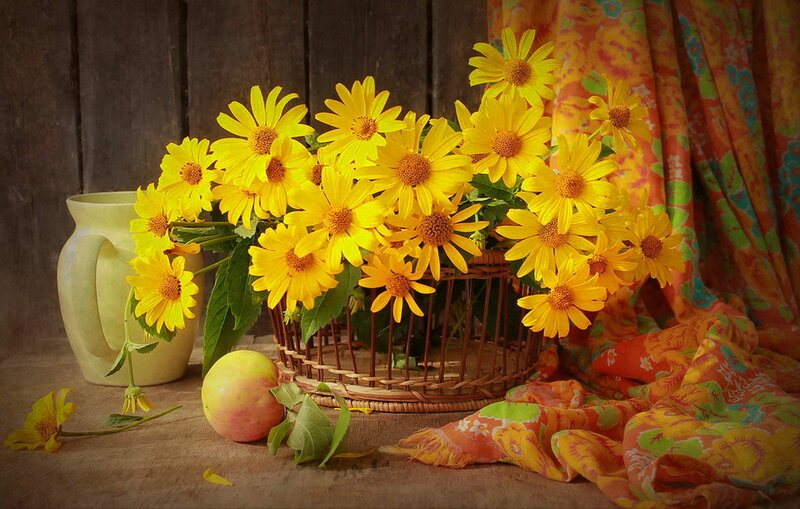 Yellow Flowers in Basket — Calm, Afternoon