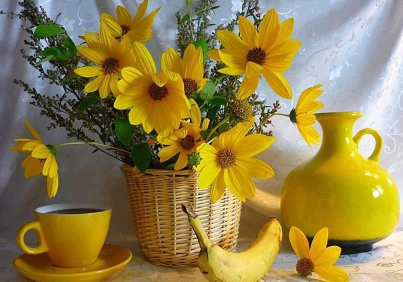 Yellow Flowers in Basket — Calm, Morning