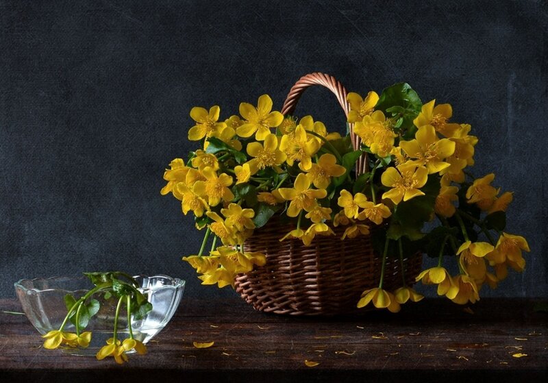 Yellow Flowers in Basket — Calm, Photograph