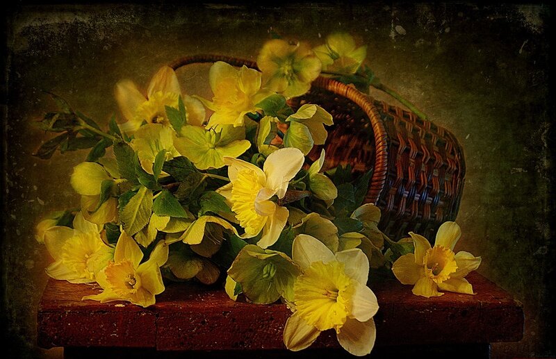 Yellow Flowers in Basket — Dramatic, Spring