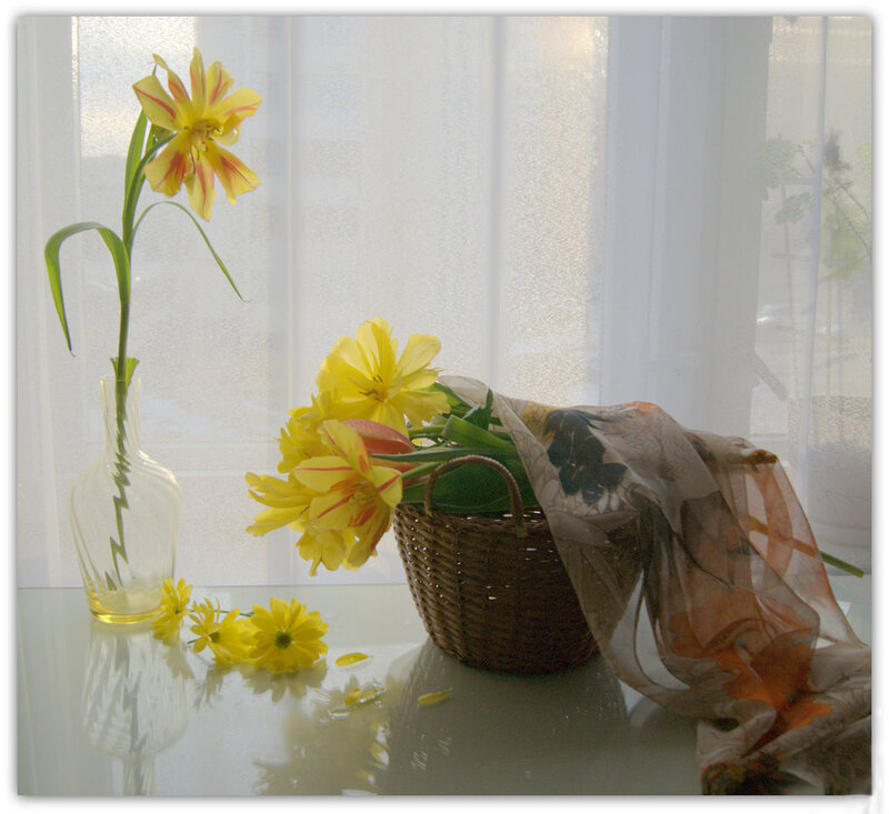 Yellow Flowers in Basket — Serene, Morning, Photograph