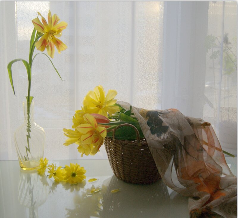 Yellow Flowers in Basket — Serene, Morning