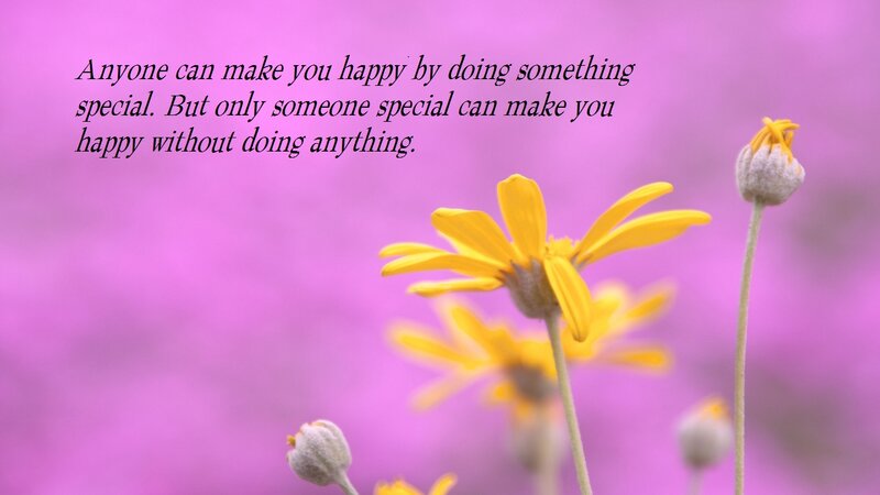 Yellow Flowers in Bloom — Purple