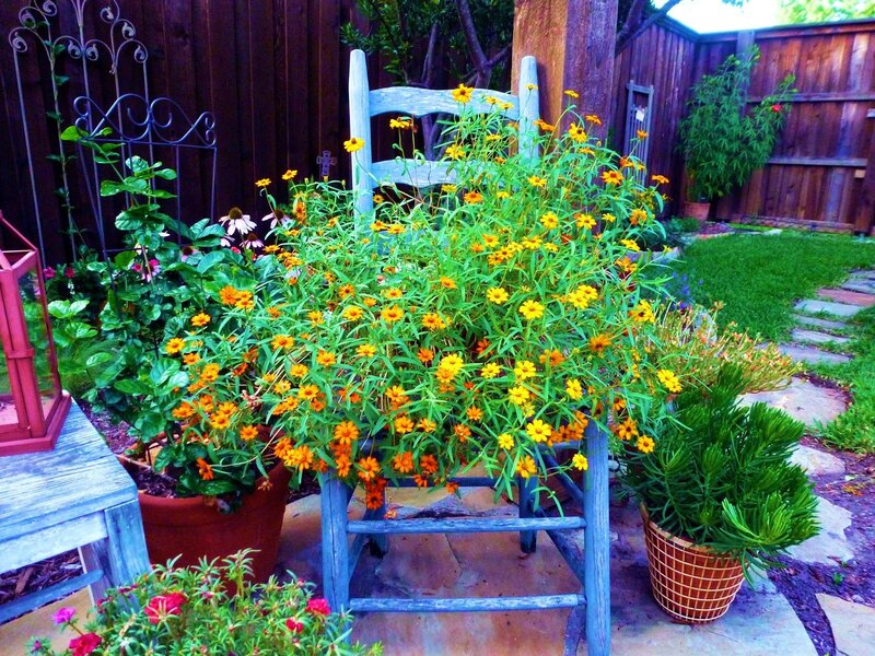 Yellow Flowers in Chair