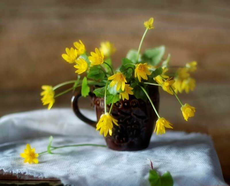 Yellow Flowers in Cup — Calm