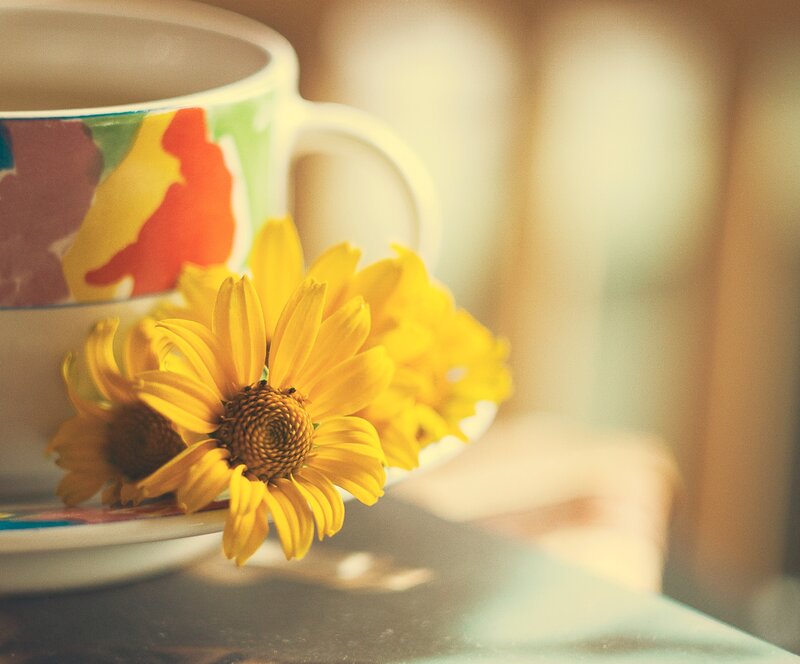 Yellow Flowers in Cup