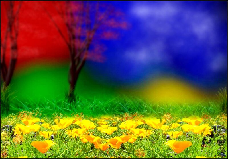 Yellow Flowers in Field — Green, Vibrant
